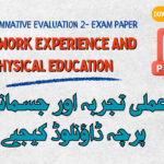 download urdu art work experience and physical education papers for class 1 to 7