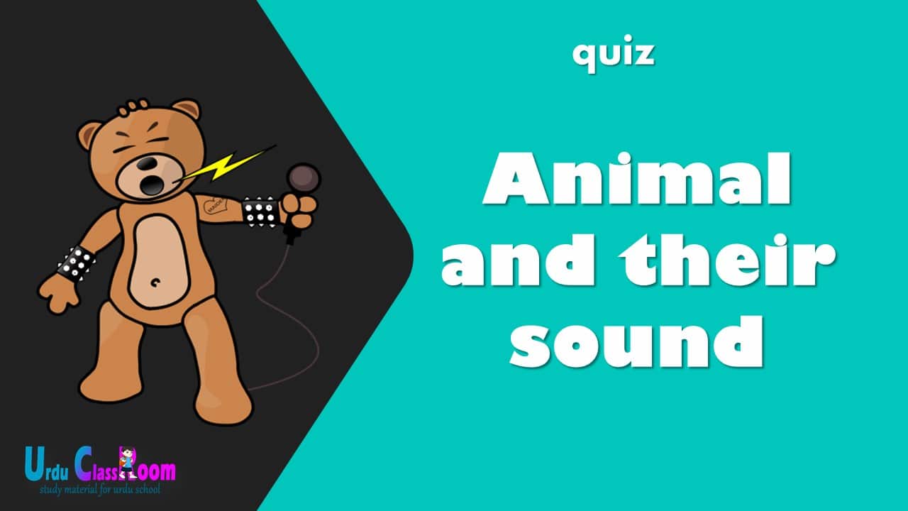 quiz 18 animals and their sound - Urdu class room