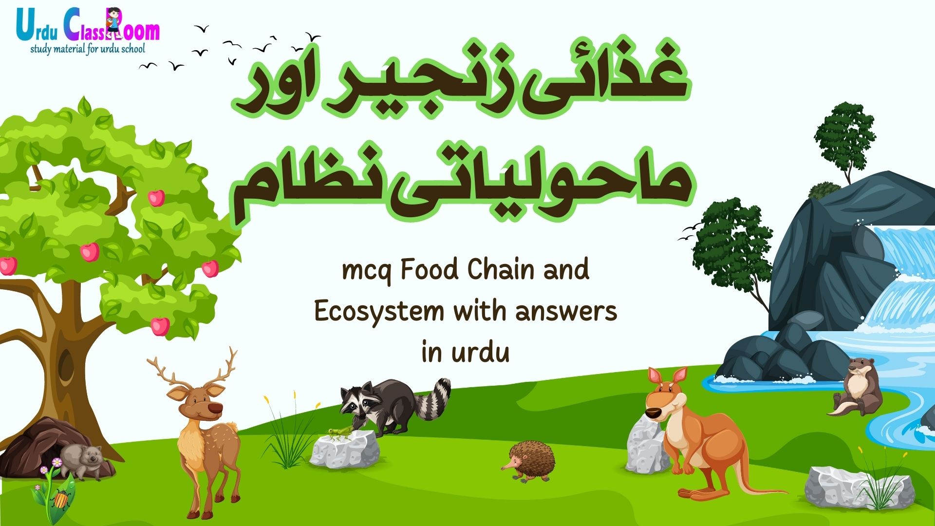 mcq Food Chain and Ecosystem